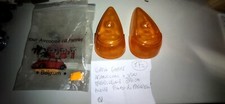 Coppia Arancioni per Fanalino