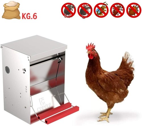 Mangiatoia per polli - ,, galline