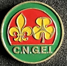 CNGEI Scout Spilla Pin Anni