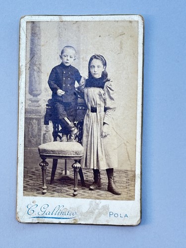 Gallinaro pola bambini - pola,