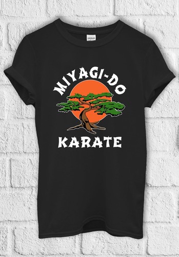 Miyagi karate cobra kai fun - karate,