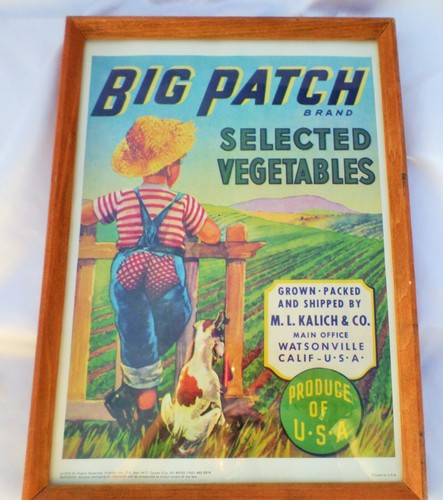 Vintage grande patch - patch, marca