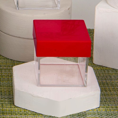 Scatoline laurea plexiglass - laurea,