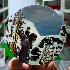 155G Bella e Naturale Pietra Dendritica Cinese Calcare Pietra Quadro Guohua