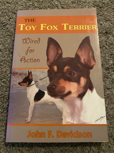 Toy fox terrier - fox, terrier,