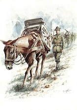 D2420) CARTOLINE MILITARI