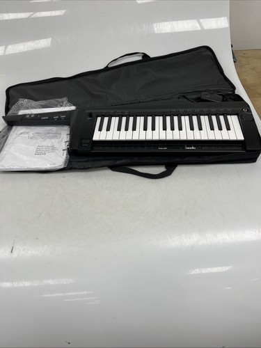 Korg 100s keytar - rk-100s,
