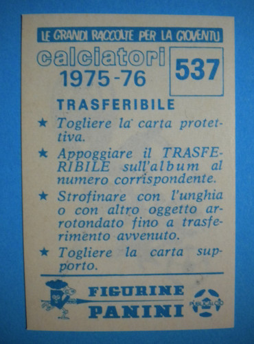 Figurina panini calciatori - figurina,