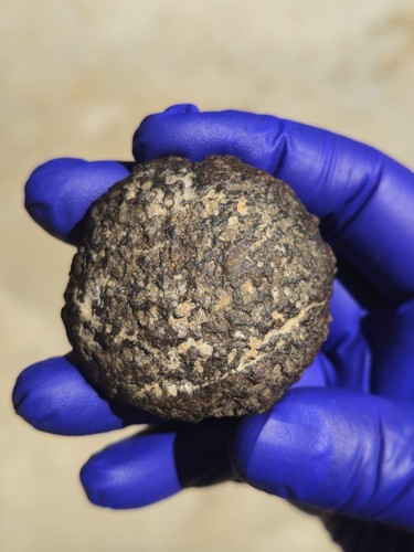 Algeria 2026 meteorite - algeria,