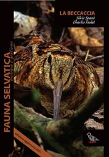 La beccaccia - [Il Piviere]