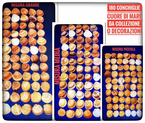 180 conchiglie cuore - conchiglie, mare