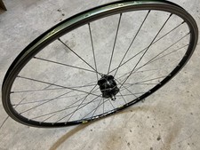 Ruota Dinamo, Cerchio Mavic