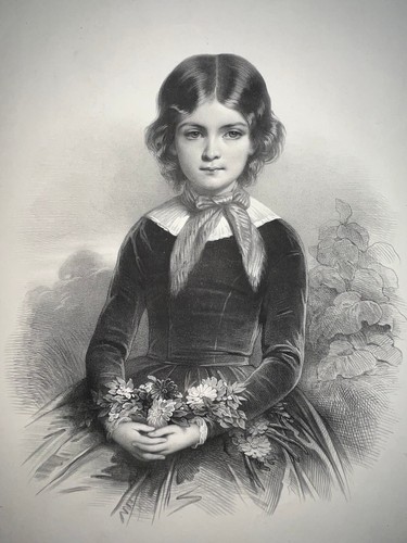 Fleurs des champs lithographie - fleurs,
