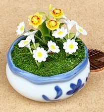 Casa delle bambole narcisi e