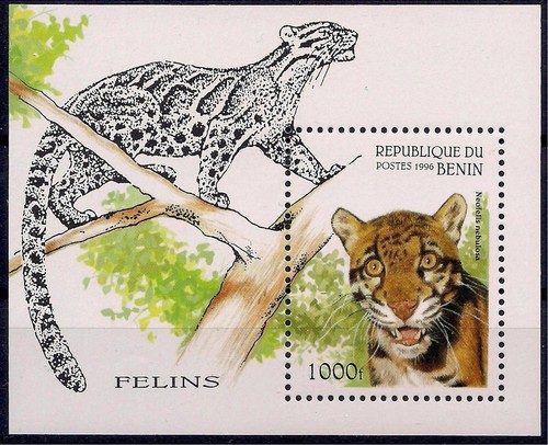 Benin 1996 wild - 1996, nebuloso