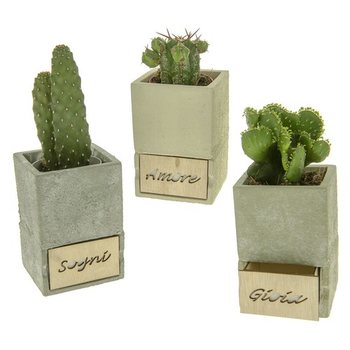 Vasi terracotta cassetto - vasi,