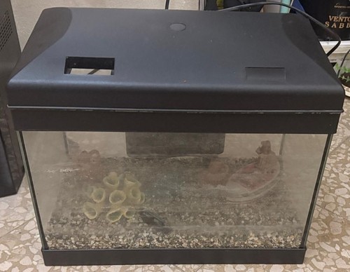 Acquario vetro con - in,