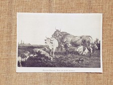 Toro ed altri animali Quadro di Filippo Palizzi Stampa del 1898