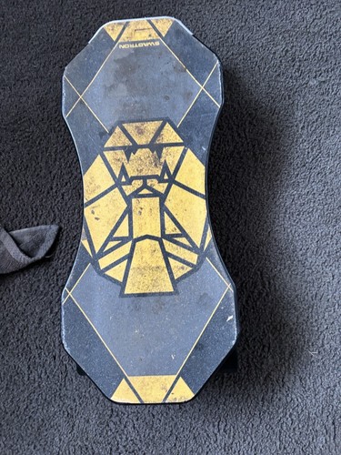 Electric skateboard - electric,