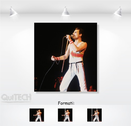 Freddie mercury quadro - freddie,