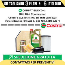 Tagliando per MINI Mini