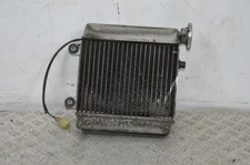 77254 Radiatore +