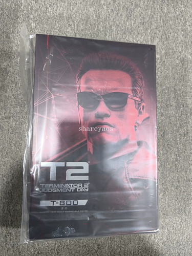 Hot toys mms795 terminator - toys, 2