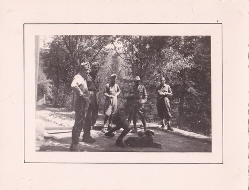 Foto militari regio - militari, esercito