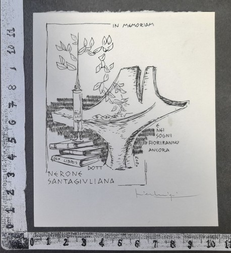 Wunderkammer exlibris 265 - wunderkammer,