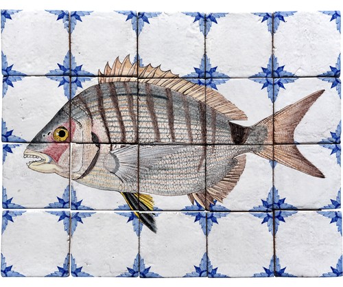 Pannello maiolica sarago - pannello, 20