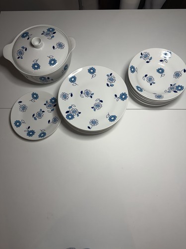 Richard ginori set piatti con - ginori,
