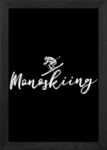 Quadro monoski divertente mono - quadro,