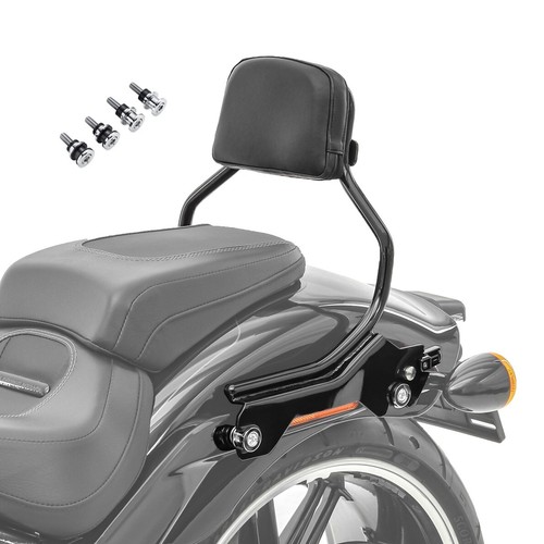 Sissy bar compatibile con - sissy,