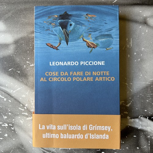 Cose fare notte al - cose, da