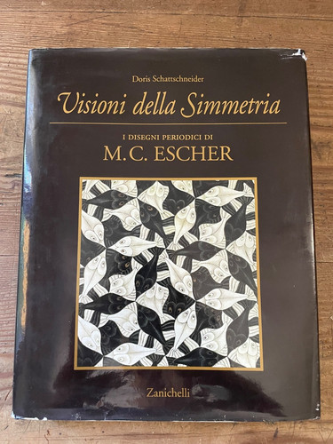 D.Schattschneider-VISIONI