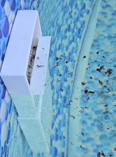 Skimmer per bestway intex - skimmer, bestway,
