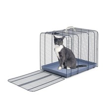 DOG Copenhagen Animo Concept