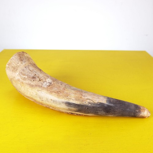 Corno animale vintage - animale,