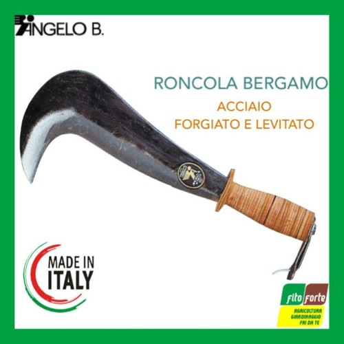 Roncola bergamo gancio angelo - bergamo,