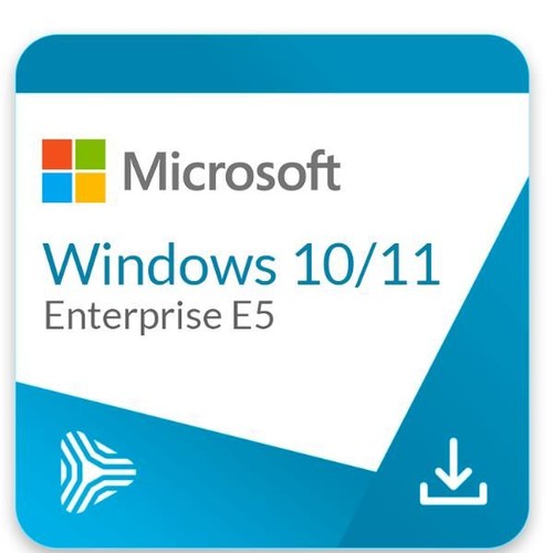 Windows enterprise e5 - 10/11,