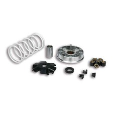 5113776 Variatore Malossi