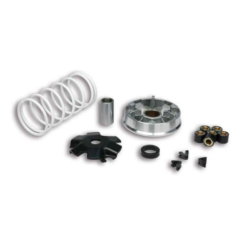5113776 variatore malossi - variatore,