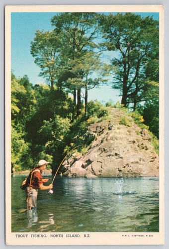 Cartolina epoca pesca alla - cartolina,