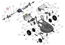 Assale posteriore destro