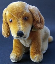 Cucciolo bassotto originale US