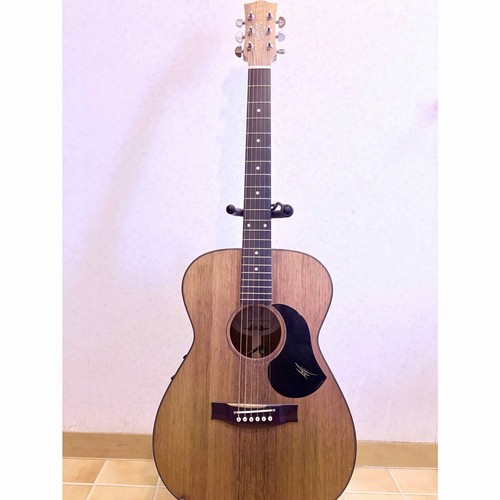 Maton ebw808 lg1582 - maton, n.lg1582