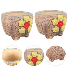  2 Pcs Vasetto Piante Grasse