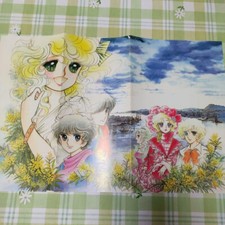 Rarissimo Manga Showa Girls