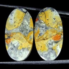 Coppia Ovale Di Gemme Loose In