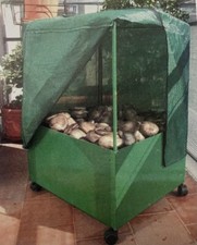 MiniSerra Coltivazione Funghi Cardoncelli + 6 Ballette substrato alta produzione